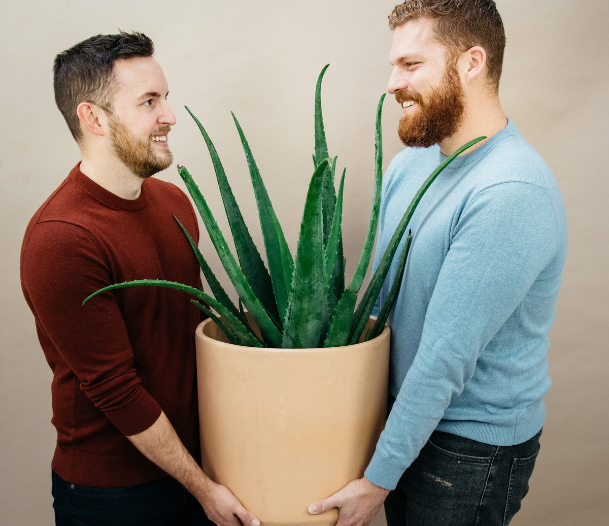 Two smiling men holding a large Aloe Vera plant in a terra cotta pot in front of a beige background.
