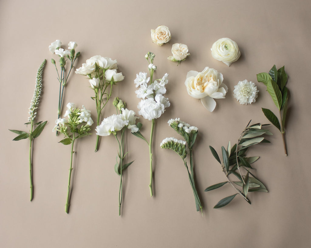 Wrist Corsage, Prom, Fernseed