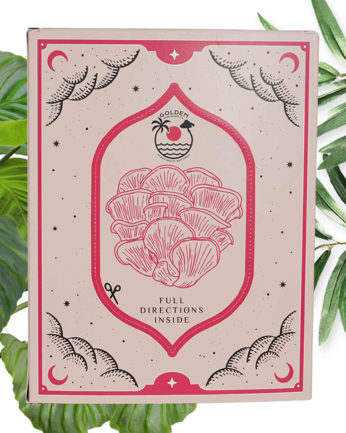 Box with pink mushroom illustration on a beige background, surrounded by green leaves.