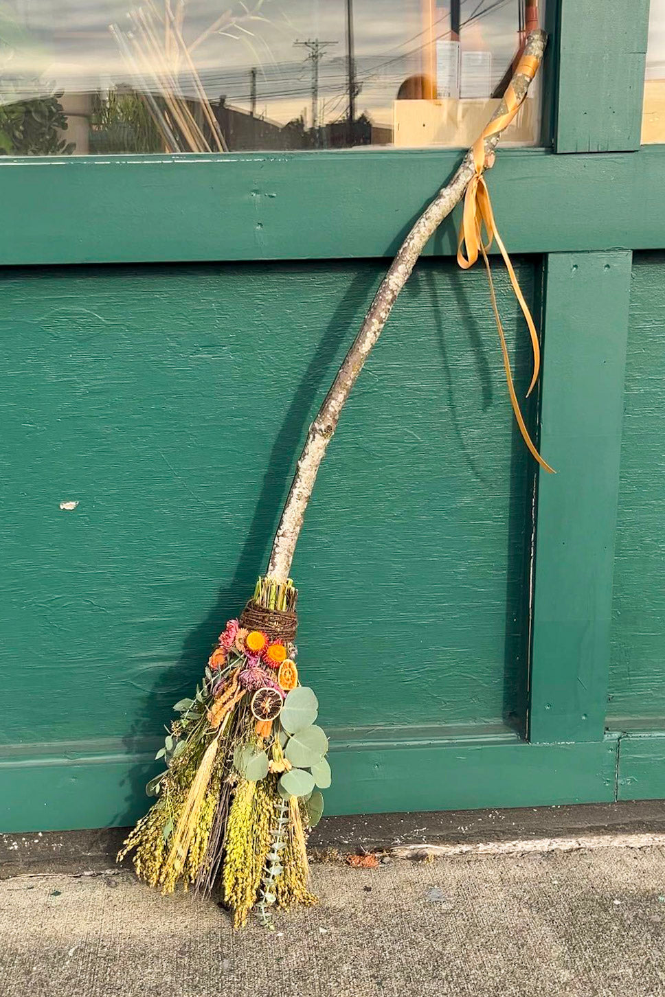 Botanical Witches' Brooms, Sunday, October 25