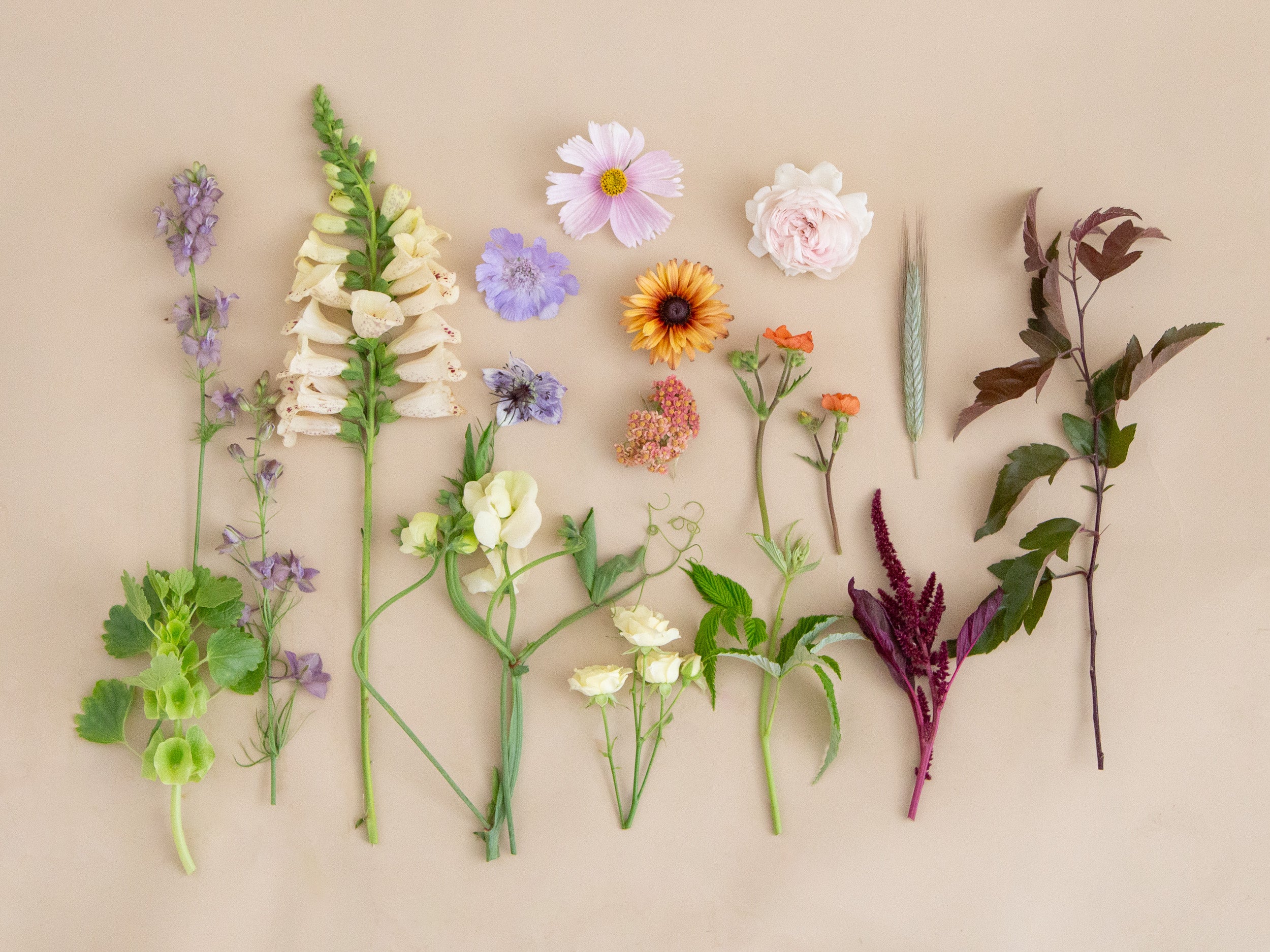 Boutonniere