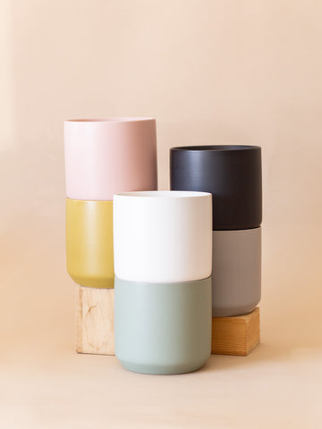 Planters – The Fernseed