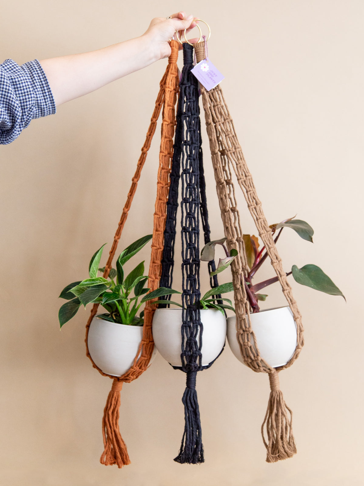 The Modern Plant Hanger