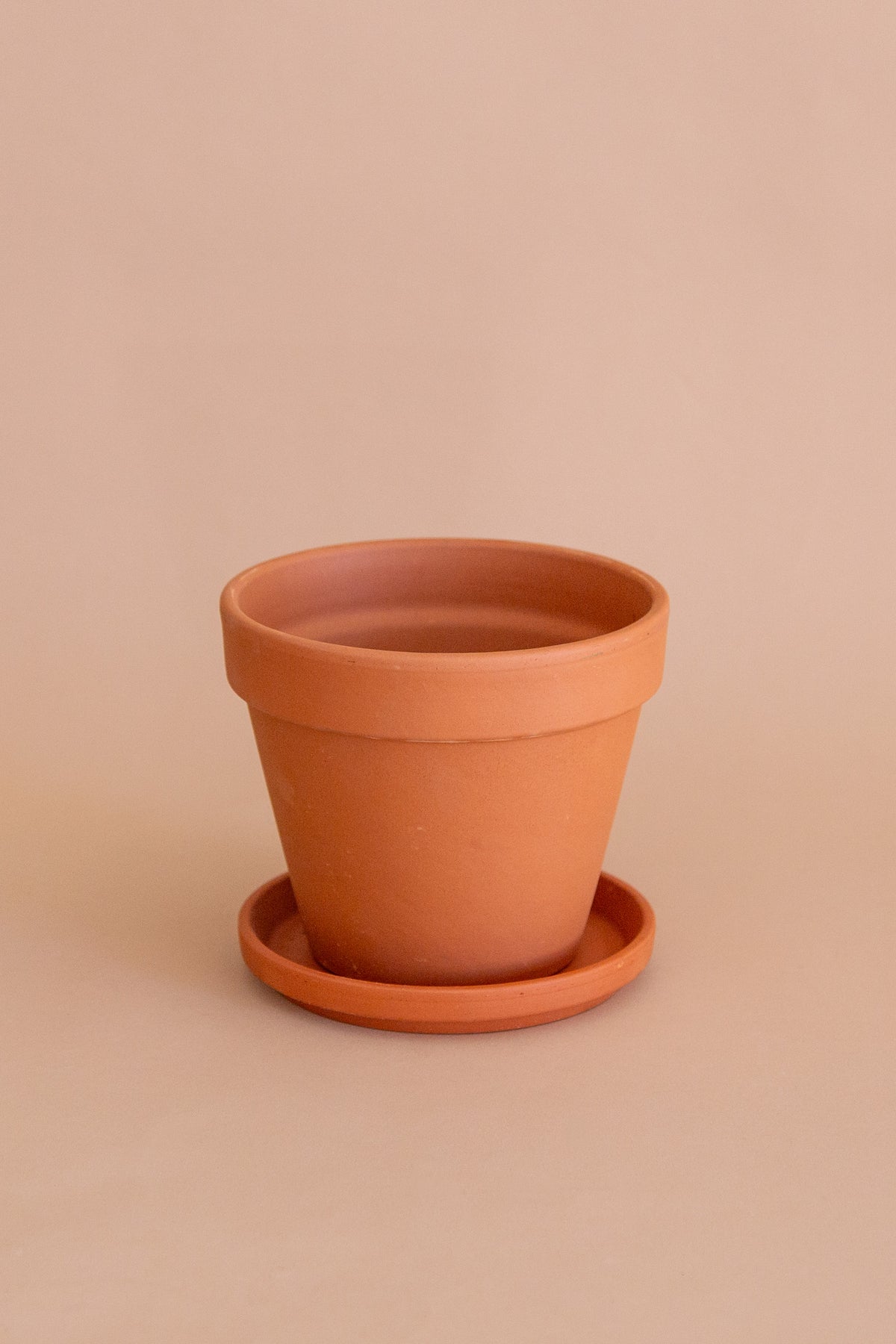 Terra Cotta Pot