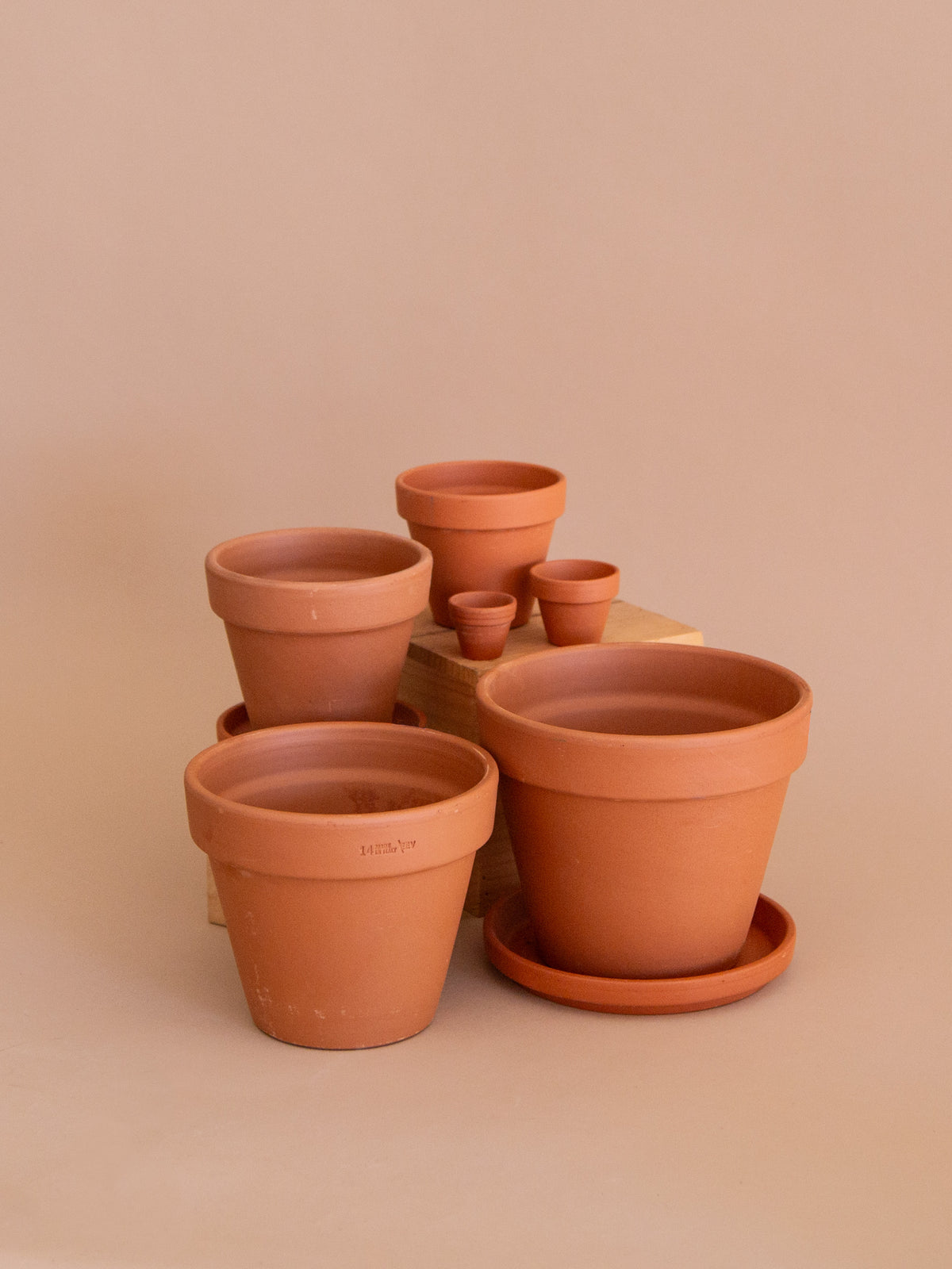 Terra Cotta Pot