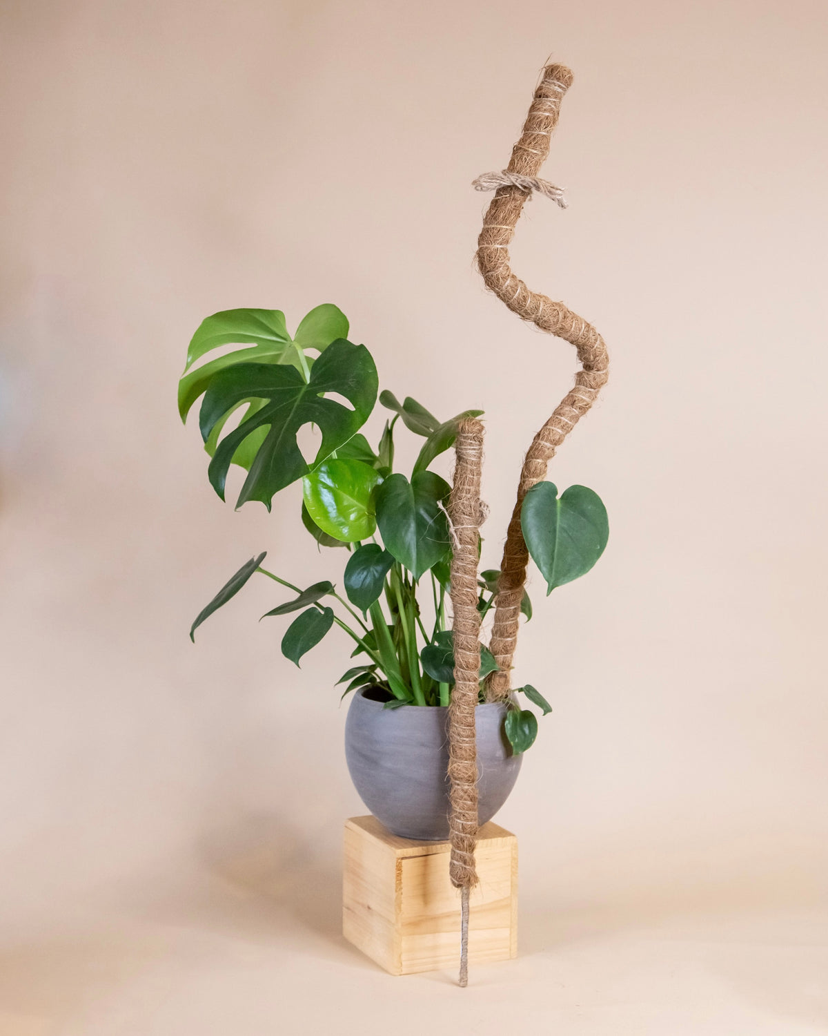 Bendable Coco Coir Climbing Plant Pole