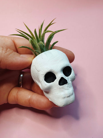 Skull Mini Planter