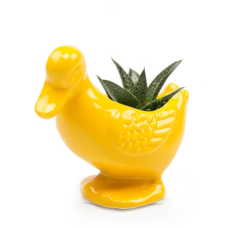 Duck Indoor Plant Pot