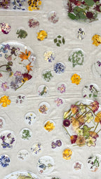 Pressed Floral Framed Artwork, Tuesday, July 7