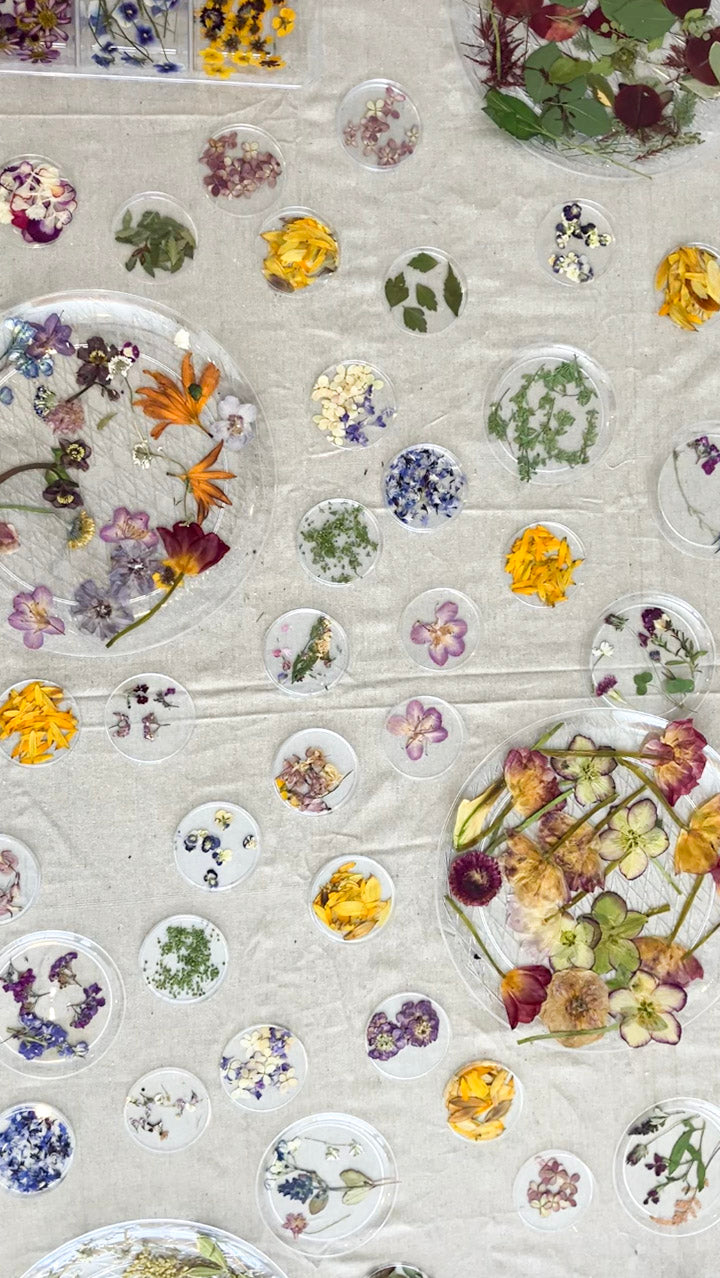 Pressed Floral Framed Artwork, Sunday, June 7