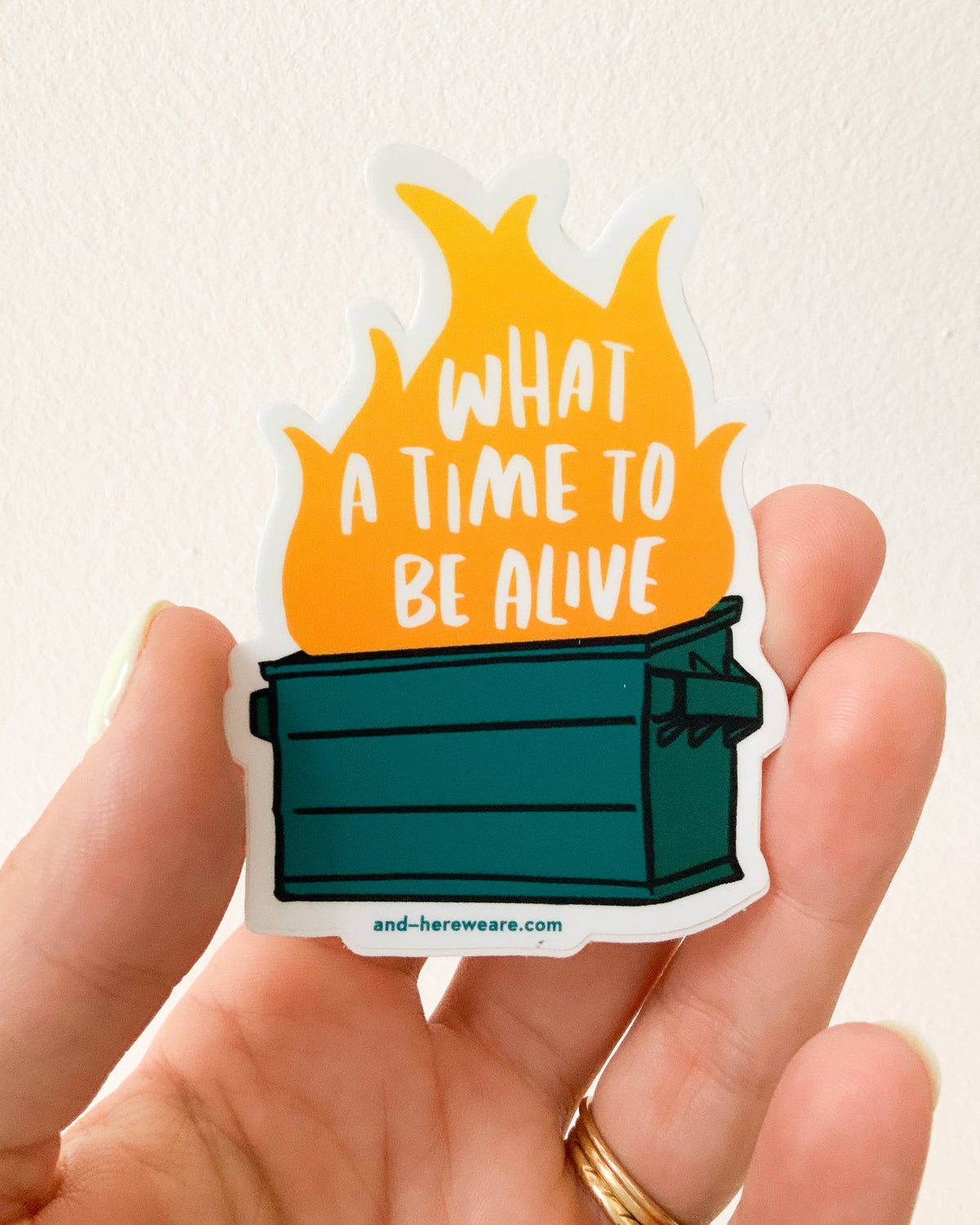 Dumpster Fire Vinyl Sticker