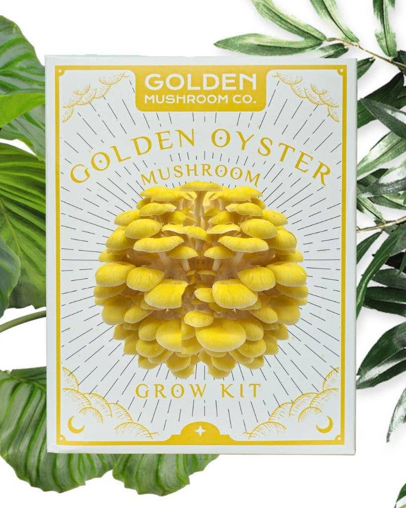 Golden Mushroom Co. Golden Oyster mushroom grow kit packaging with green leaves in the background