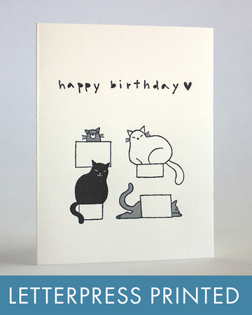 Cat Boxes Birthday Greeting Card