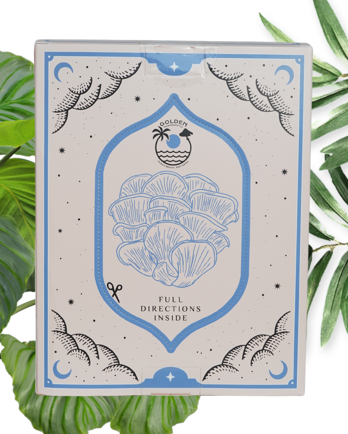 Card with mushroom illustration and text on a leafy background