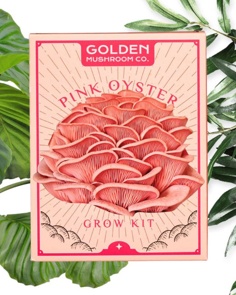 Pink oyster mushroom grow kit packaging with green leaves in the background