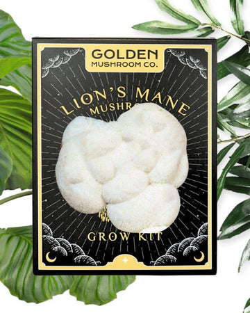 Golden Mushroom Co. Lion's Mane mushroom grow kit packaging with green leaves in the background
