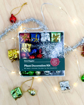 Plant Decoration Kit on a wooden surface with decorative lights and ornaments.