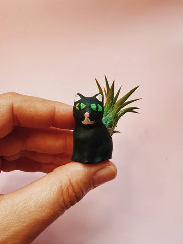 Black Curio Cat Mini Planter with Plant
