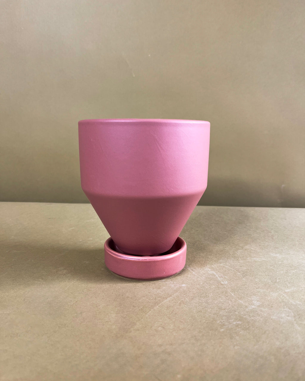 Air Purifying Plant