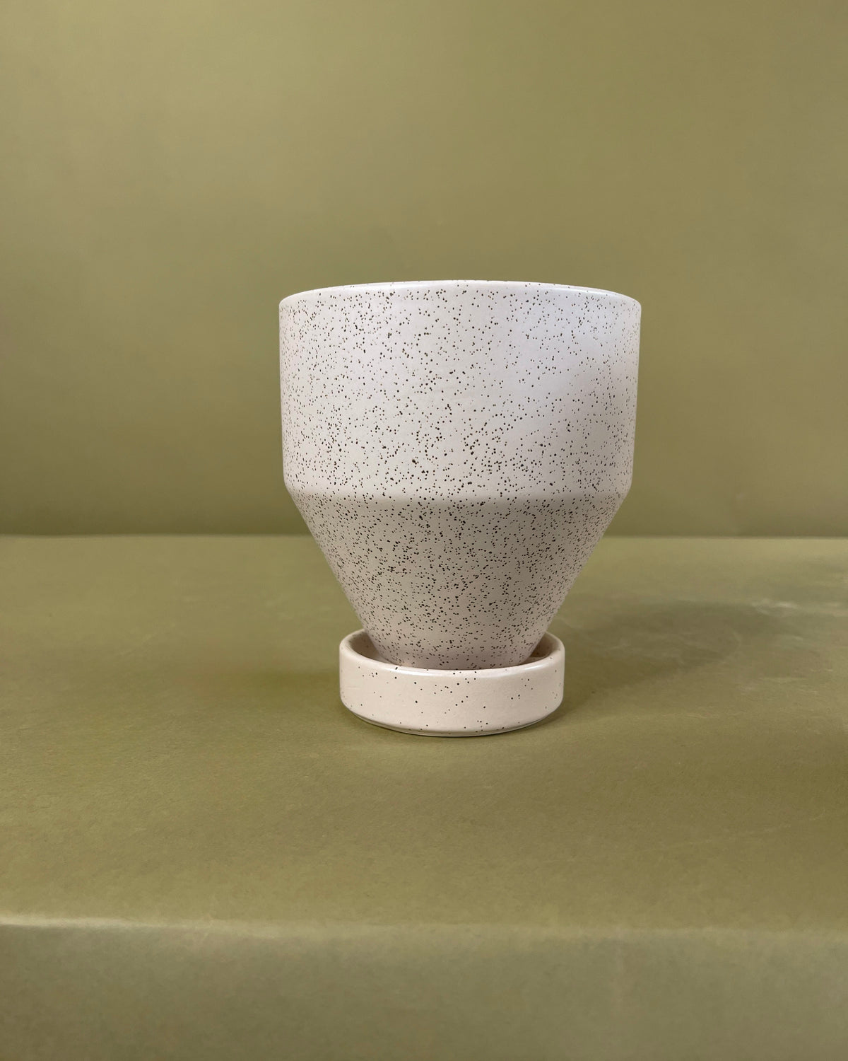 Swiss Cheese Plant (Monstera deliciosa)