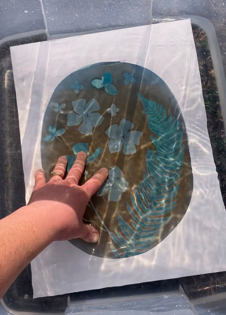 Cyanotype Botanical Printing, Sunday, May 24
