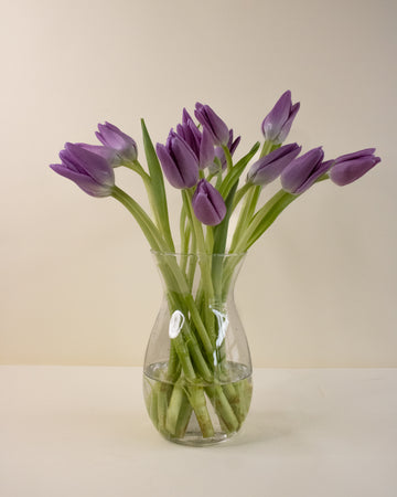 Clear glass vase with purple tulips on a beige background