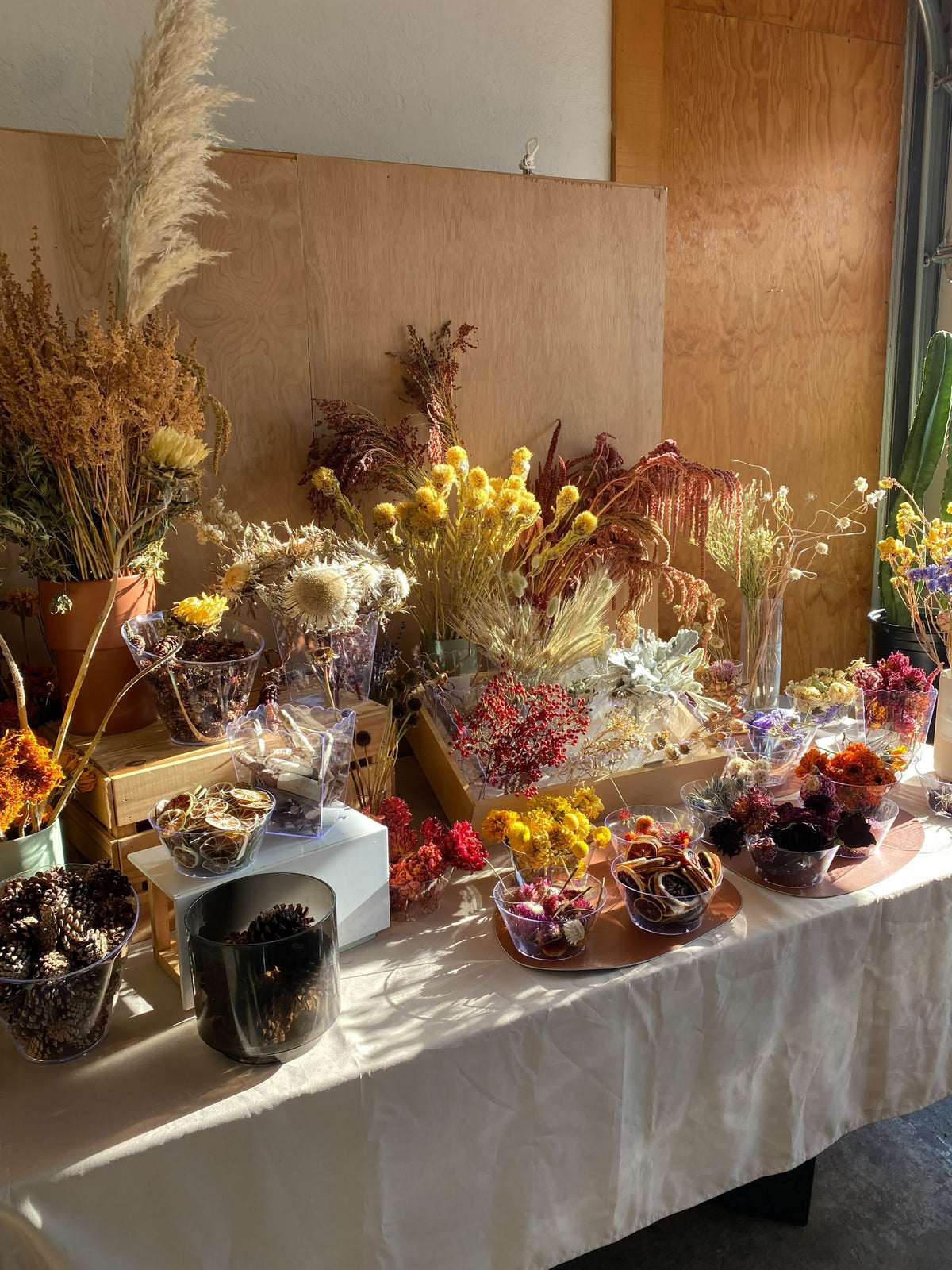 Table with various dried plants and flowers against a wooden wall.
