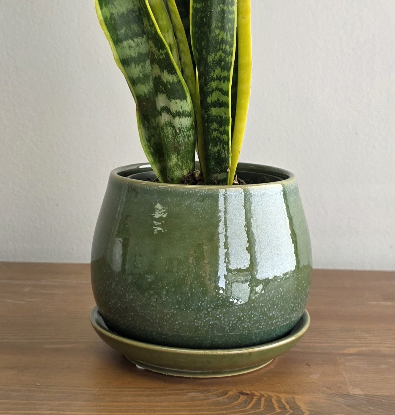 Lopez Planter