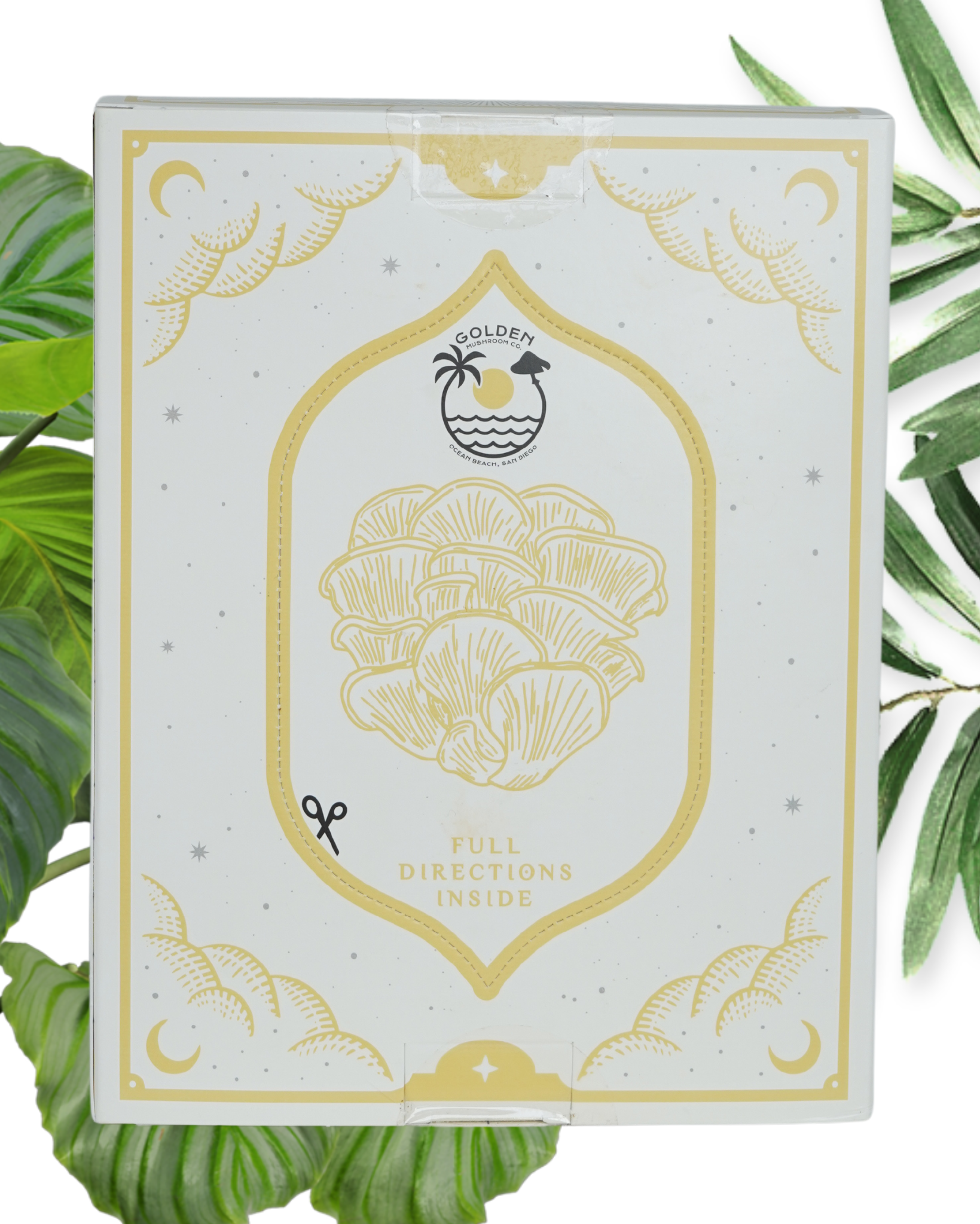 Cardboard packaging with gold design and text, surrounded by green leaves.