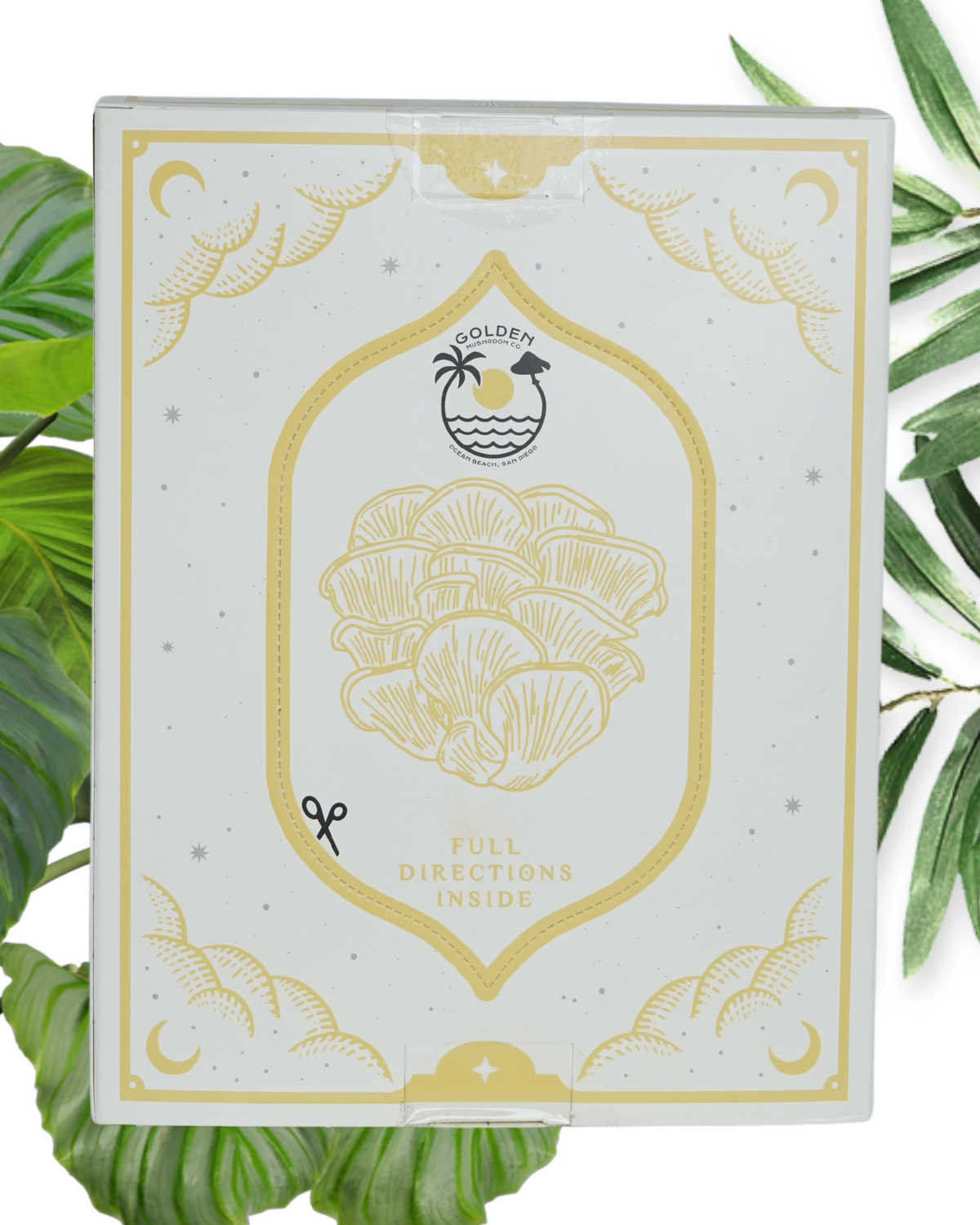 Cardboard packaging with gold design and text, surrounded by green leaves.