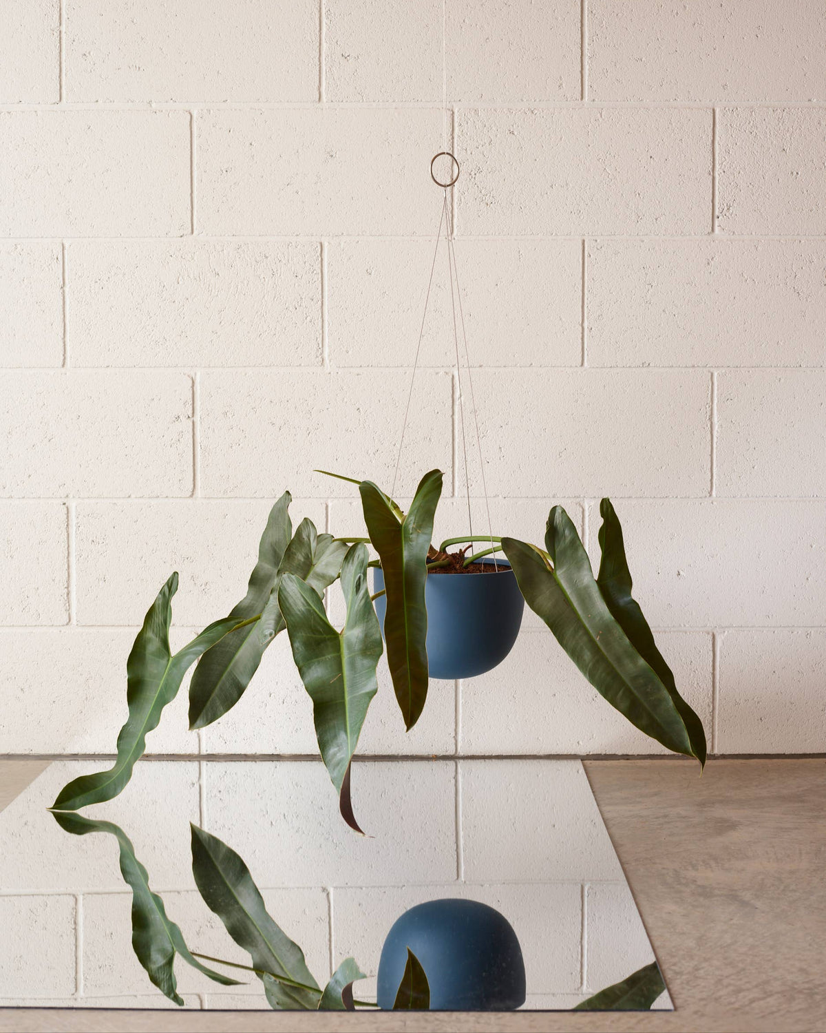 hanging planter in blue over a white brick backdrop