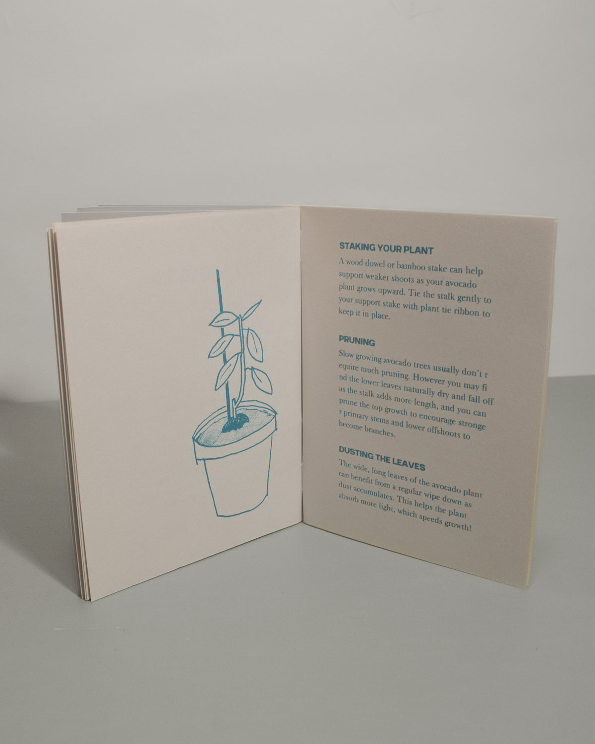 Pit to Plant: Indoor Avocado Gardening zine