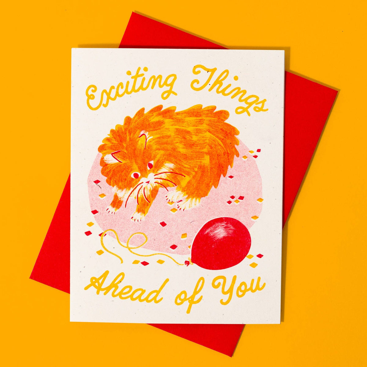 Exciting Things Ahead of You Cat - Risograph Birthday Card