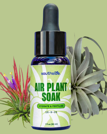 Air Plant Fertilizer - Soak