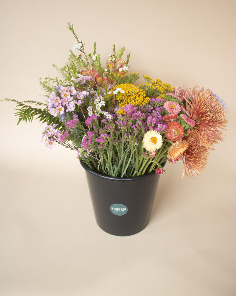 Bucket of Blooms The Fernseed