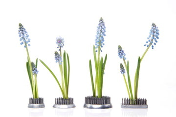 Floral Frog - Stainless Steel