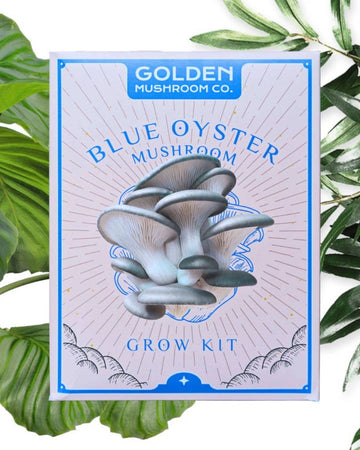 Blue Oyster mushroom grow kit packaging with green leaves in the background