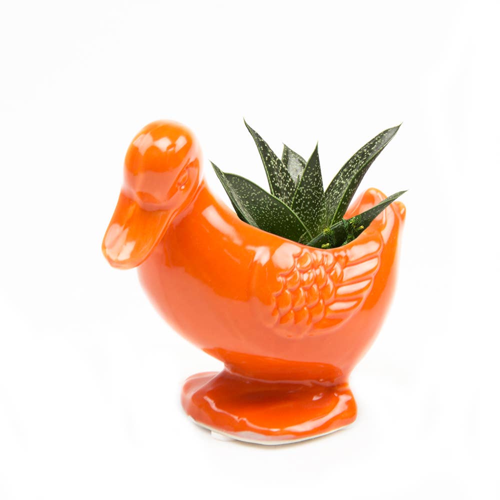 Duck Indoor Plant Pot