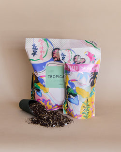 Fernseed Tropical Potting Mix