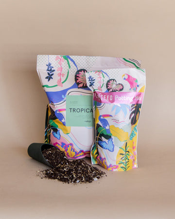 Fernseed Tropical Potting Mix