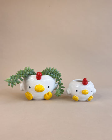 Chicken Planter