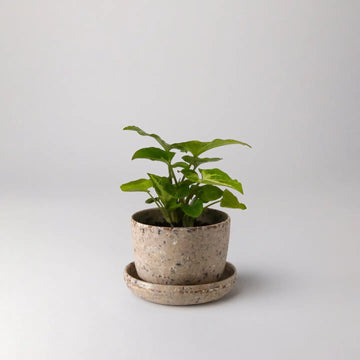 Kanso Upcycled Planters