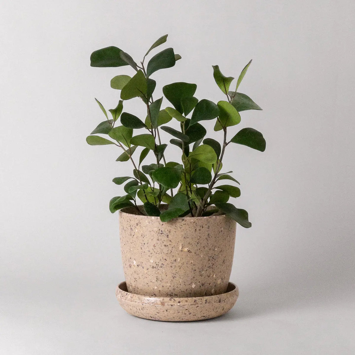 Kanso Upcycled Planters