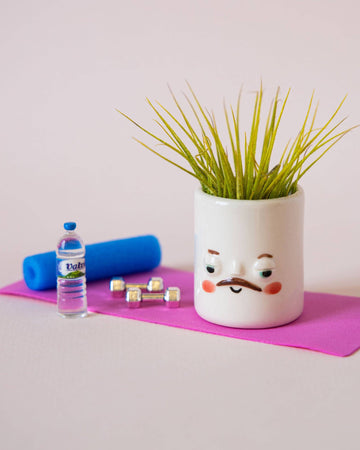 mini porcelain planter with face and air plant on tiny yoga mat