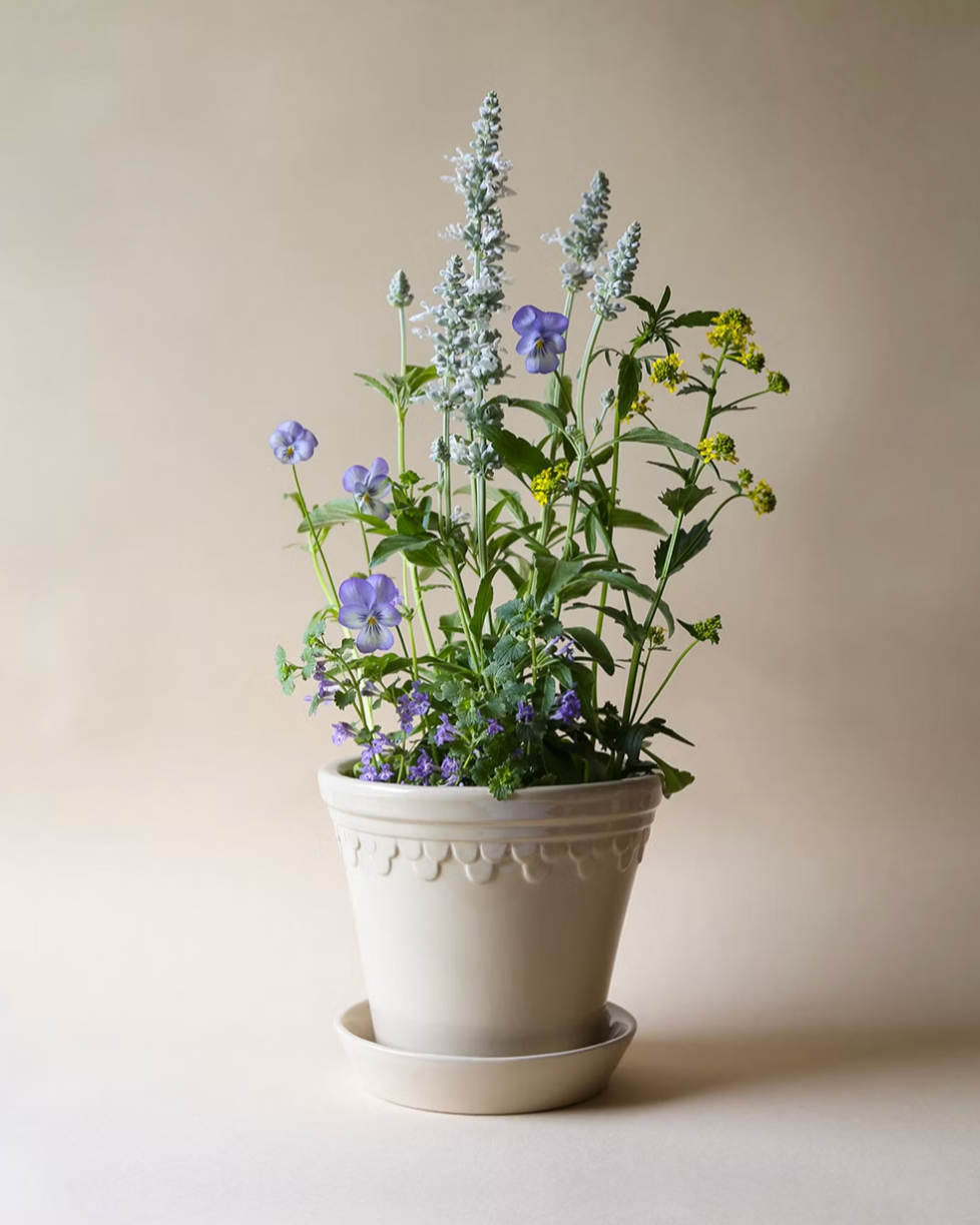 kobenhavner glazed sandstone pot