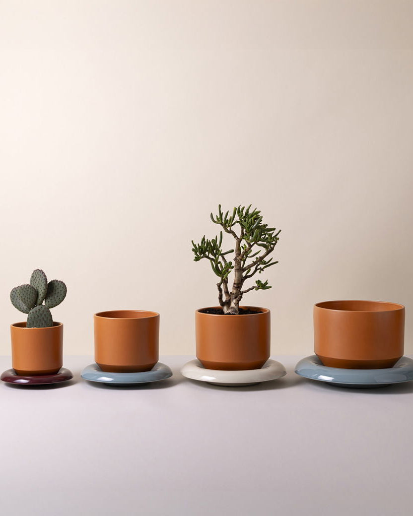 Ceramic pot and saucer