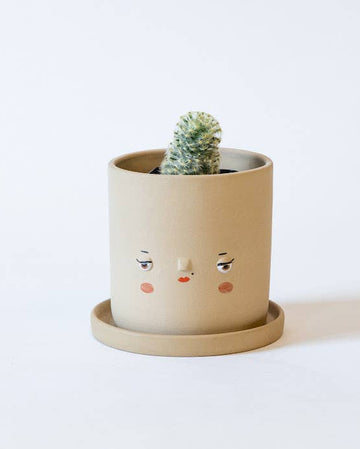 brown lucy face planter by friend assembly with cactus