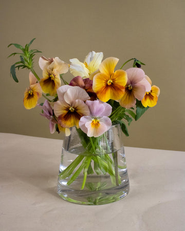 Mother's Day Pansy Arrangement