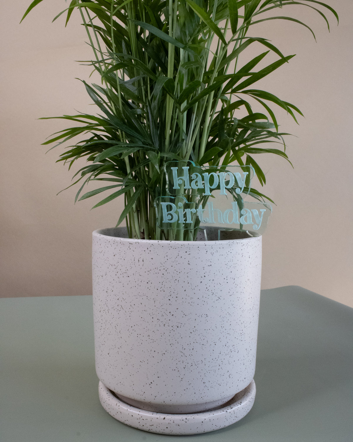 Happy Birthday Plant Stake