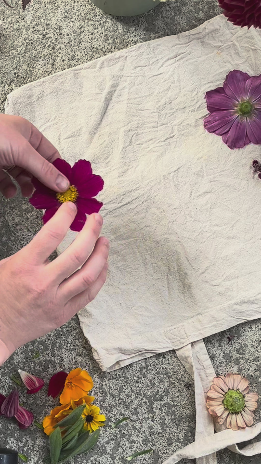 Botanical Hammer Printing: Hand-Dyed Tote Bags, Thursday, October 8